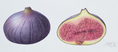 Figs by Margaret Ann Eden